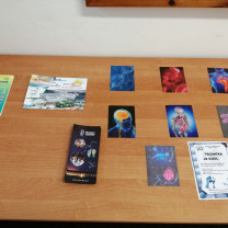 Foto 19